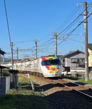 しあわせ
