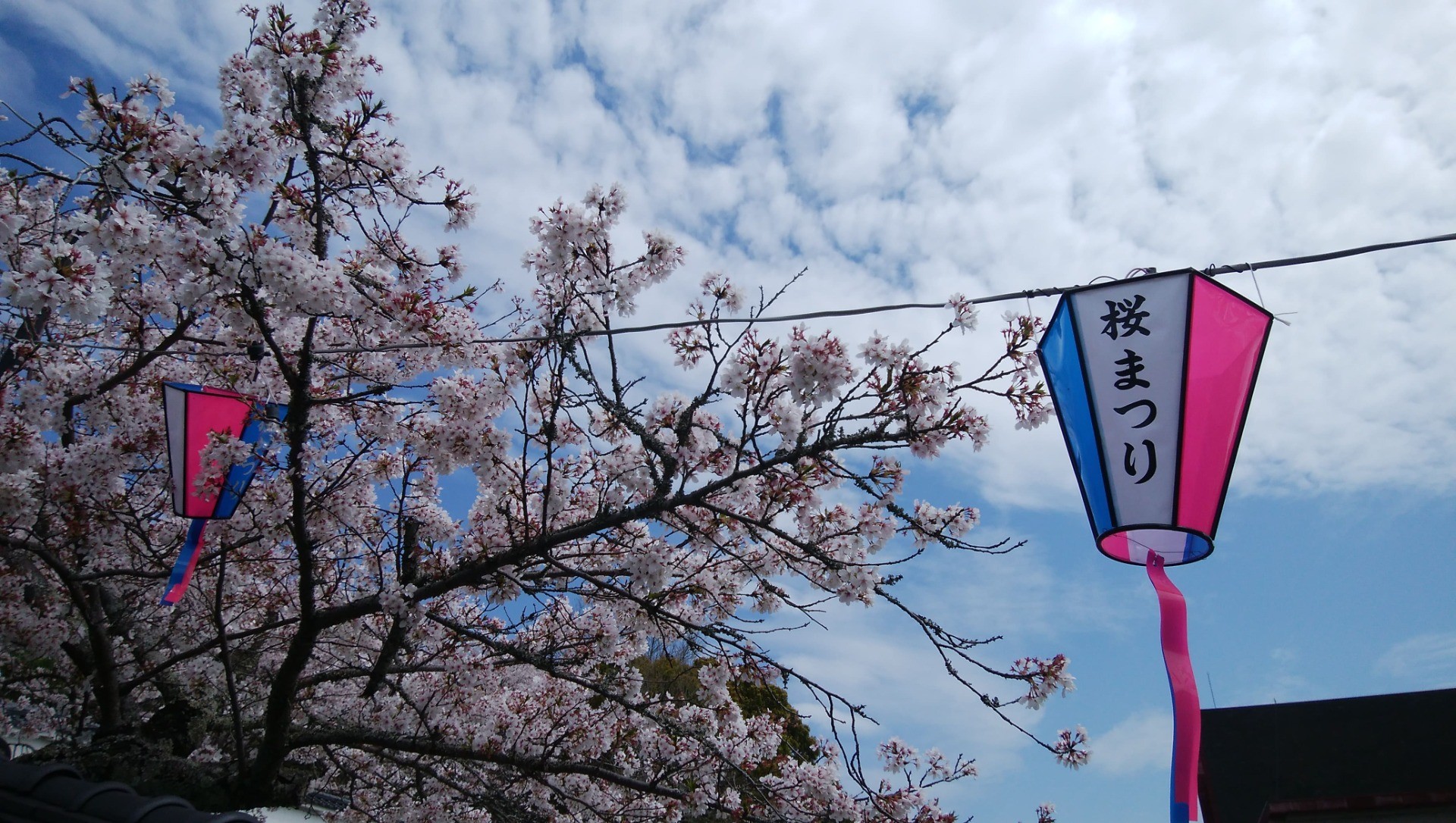 空(下)(4月10日付 愛媛新聞 四季録)