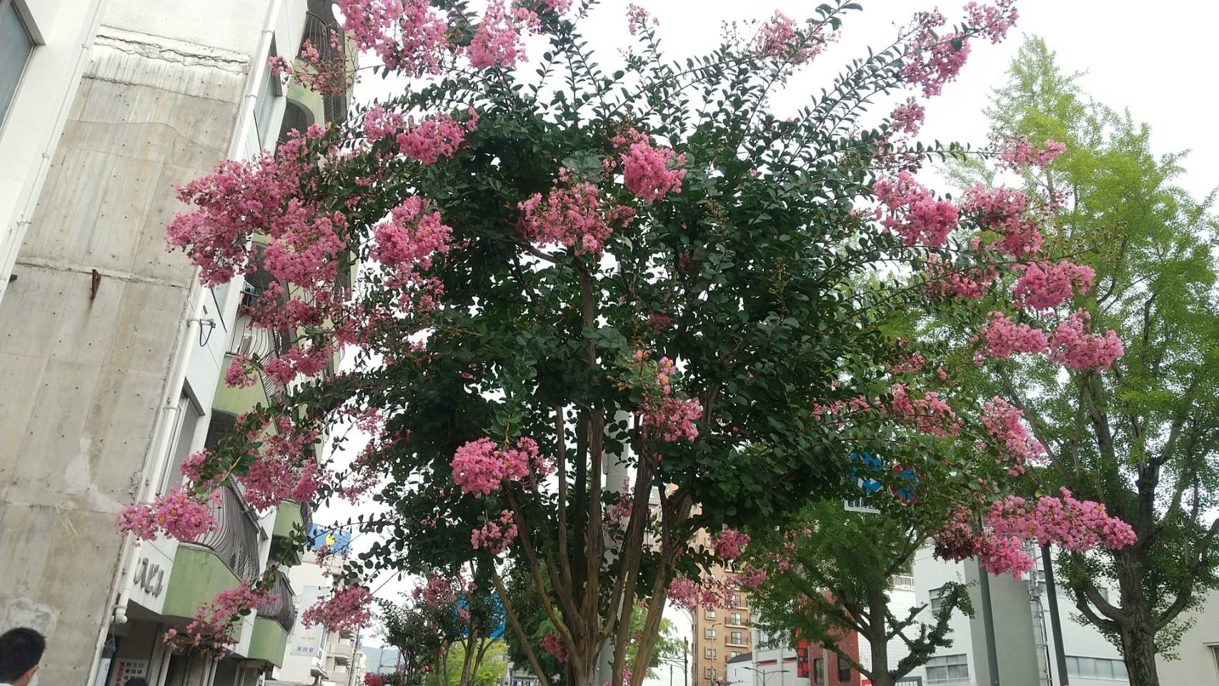大好きなこの町で