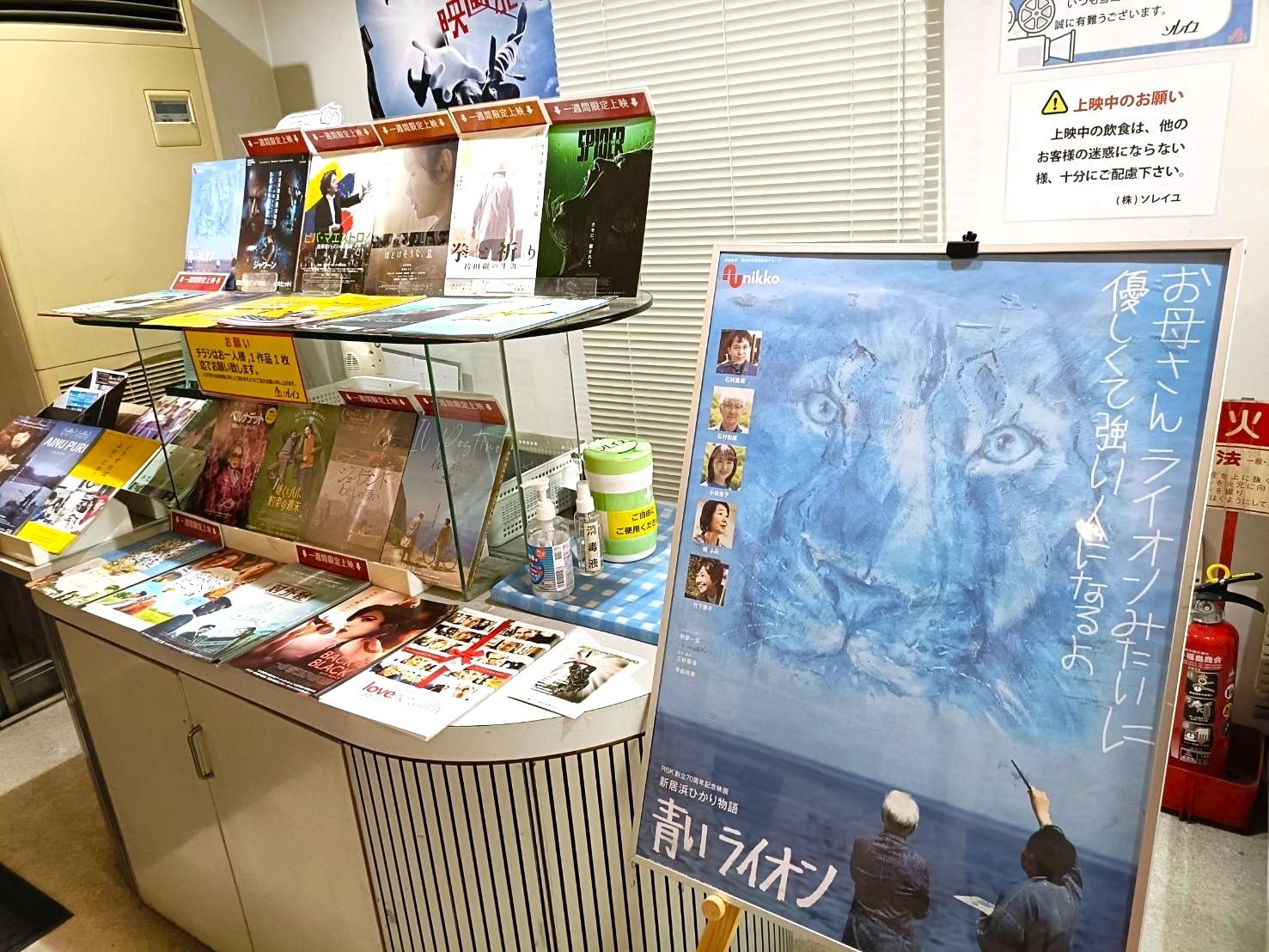 青いライオン　高松レポート１