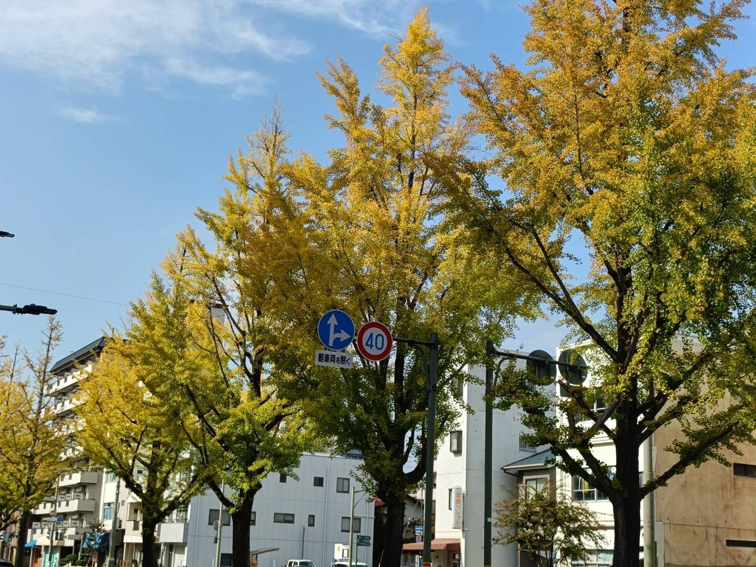 まなびあん(西予市図書交流館)