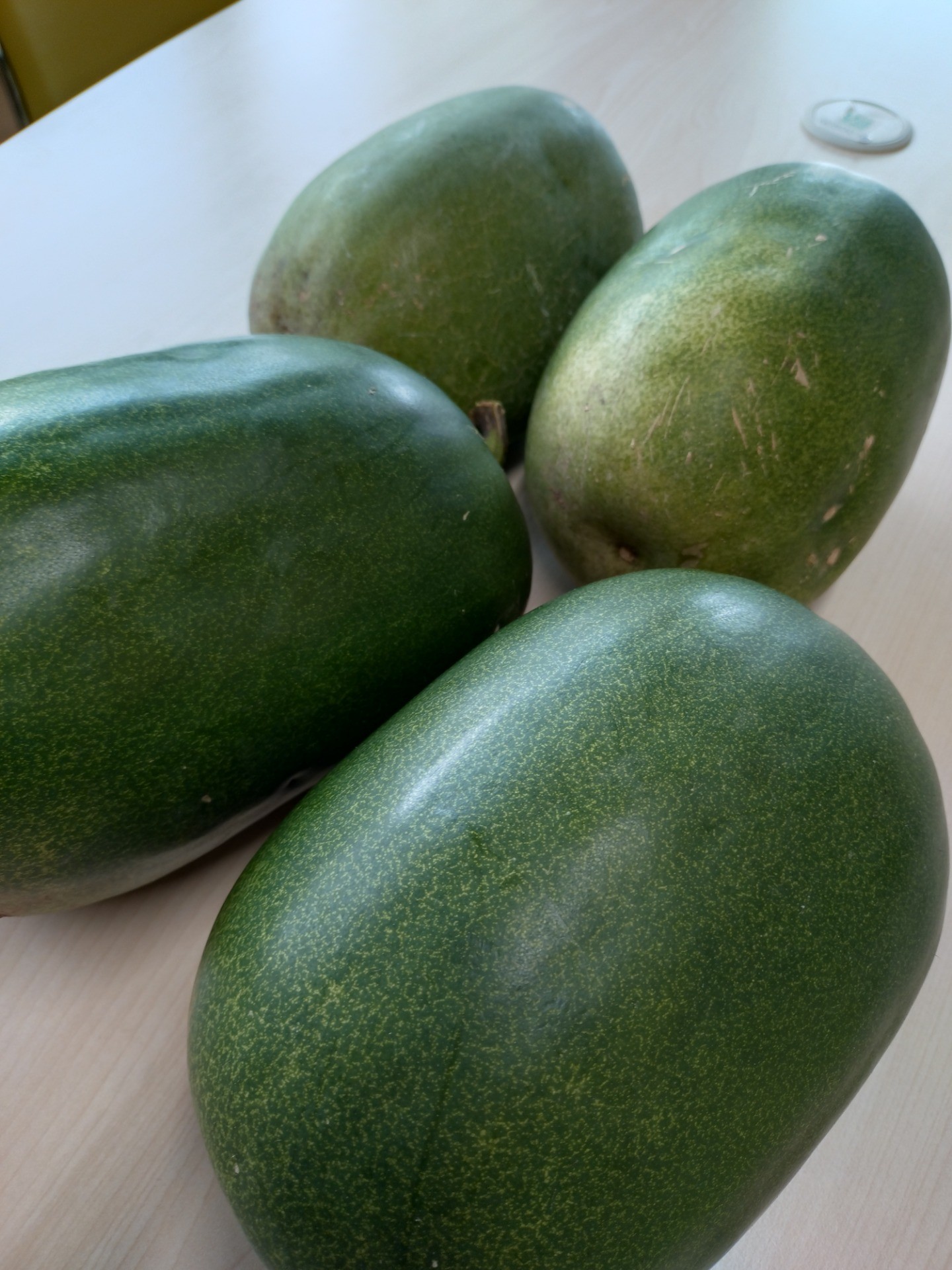 冬瓜をいただきました✨