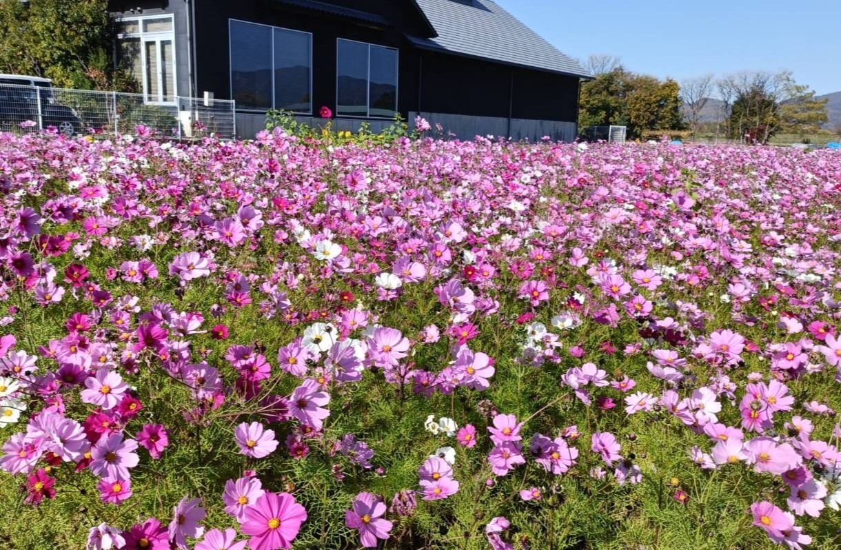 信田さよ子さん講演会に参加して