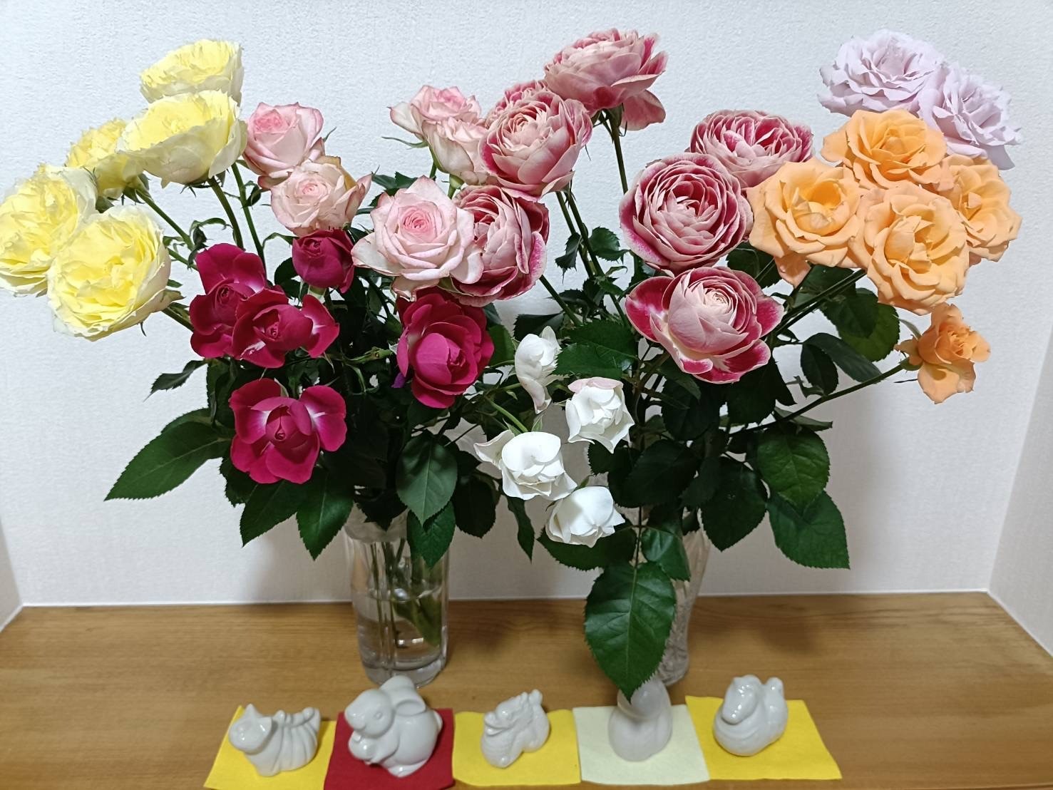 愛媛の愛あるバラ