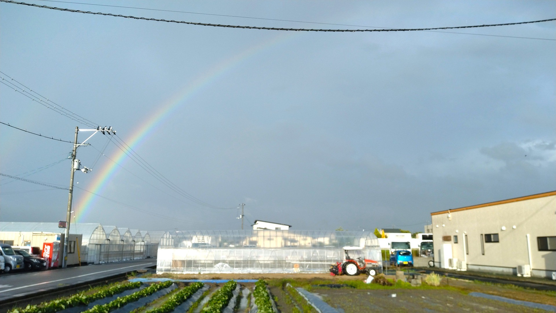 🌸リエゾン里親だより🌸③