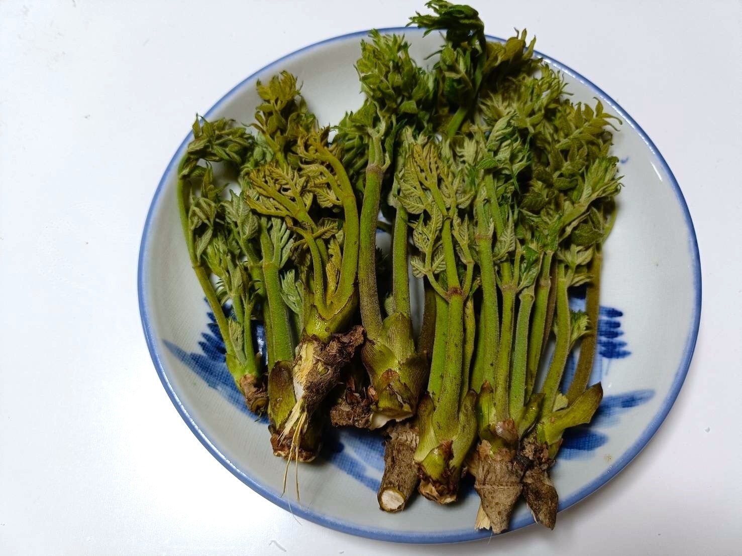 山の恵み